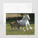 Recherche de gypsy cartes postales Bob langrish