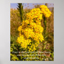 Recherche de proverbes 3 posters Chrétien