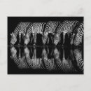 Recherche de plains cartes postales Animal