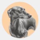 Recherche de whippets autocollants Lunette