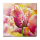 Recherche de tulipes de ressort carreaux Jardin