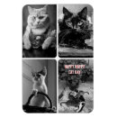 Recherche de de chat noir refrigérateur magnets Pour animaux