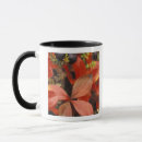 Recherche de westmorland tasses États unis