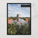 Recherche de nederland cartes postales Fleurs