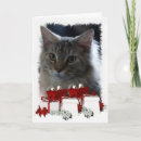 Recherche de maine coon christmas vœux cartes Vacances