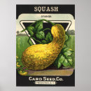 Recherche de courge posters Vintage