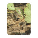 Recherche de écureuil de désert Mignon