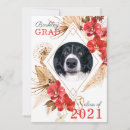 Recherche de chien domestique invitations Animaux domestiques