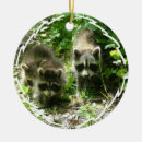 Recherche de ratons laveurs ornements Mammifère