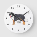 Recherche de bernie horloges Chien de montagne bernois