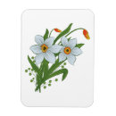 Recherche de jonquille magnets Floral