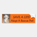 Recherche de aspca Chiot