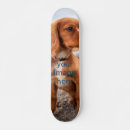 Recherche de animal skateboards Famille