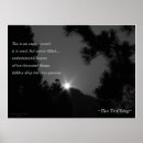 Recherche de arbre de coucher du soleil posters Nature