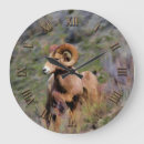 Recherche de moutons horloges Brebis