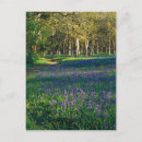 Recherche de jul cartes postales Arbre