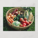 Recherche de outils de jardinage cartes postales Horizontal