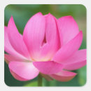 Recherche de plantes aquatiques autocollants Fleur