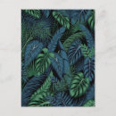 Recherche de motif tropical cartes postales Botanique