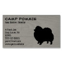 Recherche de pom cartes visite Chien