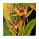 Recherche de paradis carreaux Tropical