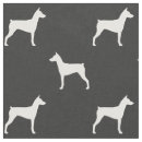 Recherche de pinscher German pinscher