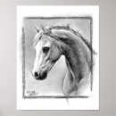 Recherche de cheval noir et blanc posters Tête de cheval
