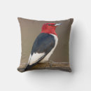 Recherche de erythrocephalus Aviaire