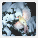 Recherche de bernards autocollants Neige