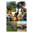 Recherche de hyène posters Faune