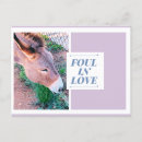 Recherche de âne drôle cartes postales Humour