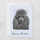 Recherche de caniche français invitations Chiot