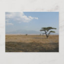 Recherche de plaine cartes postales Kenya