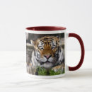 Recherche de chat sibérien tasses Tigre