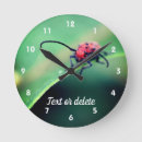 Recherche de scarabée horloges Insecte