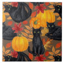 Recherche de citrouille carreaux Chaton