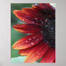 Recherche de tournesol rouge art Vert