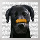 Recherche de chiens noirs posters Animaux