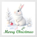 Recherche de lapin de neige Animal