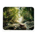 Recherche de jungles magnets Forêt
