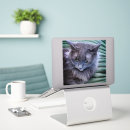 Recherche de yeux verts de chat autocollants Moelleux