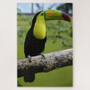 Recherche de branche puzzles Anniversaire