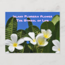 Recherche de fleurs hawaïennes cartes postales Plumeria