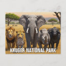 Recherche de parc national de kruger cartes postales Nature