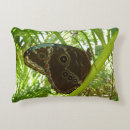 Recherche de papillon bleu morpho coussins Tropical