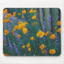 Recherche de fleur cactus tapis souris Orange