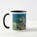 Recherche de invertébré tasses Océan