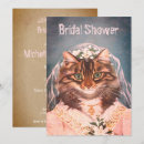 Recherche de chat nuptiale Humour