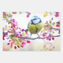 Recherche de jolis oiseaux papier cadeau Nature