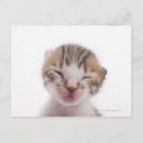 Recherche de parties du corps cartes postales Image couleur